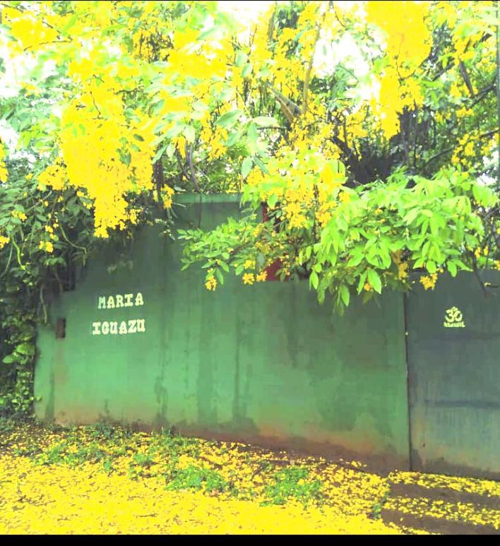 Posada Maria Iguazu 伊瓜苏港 外观 照片