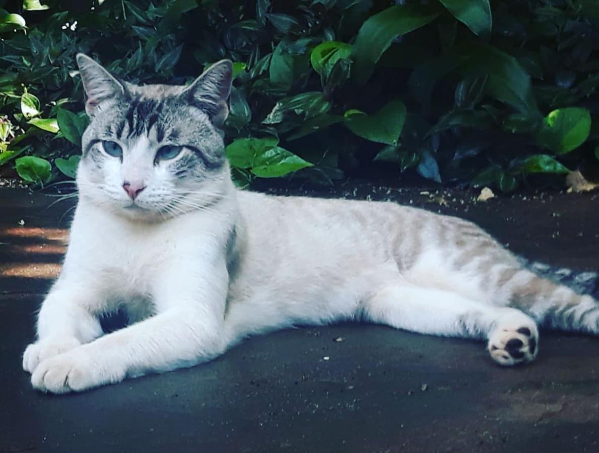 Posada Maria Iguazu 伊瓜苏港 外观 照片