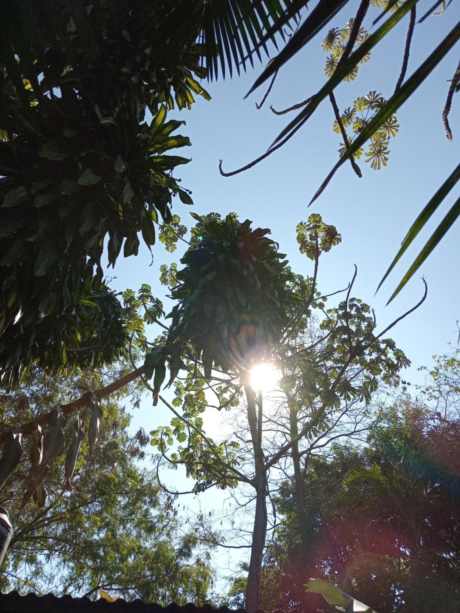Posada Maria Iguazu 伊瓜苏港 外观 照片