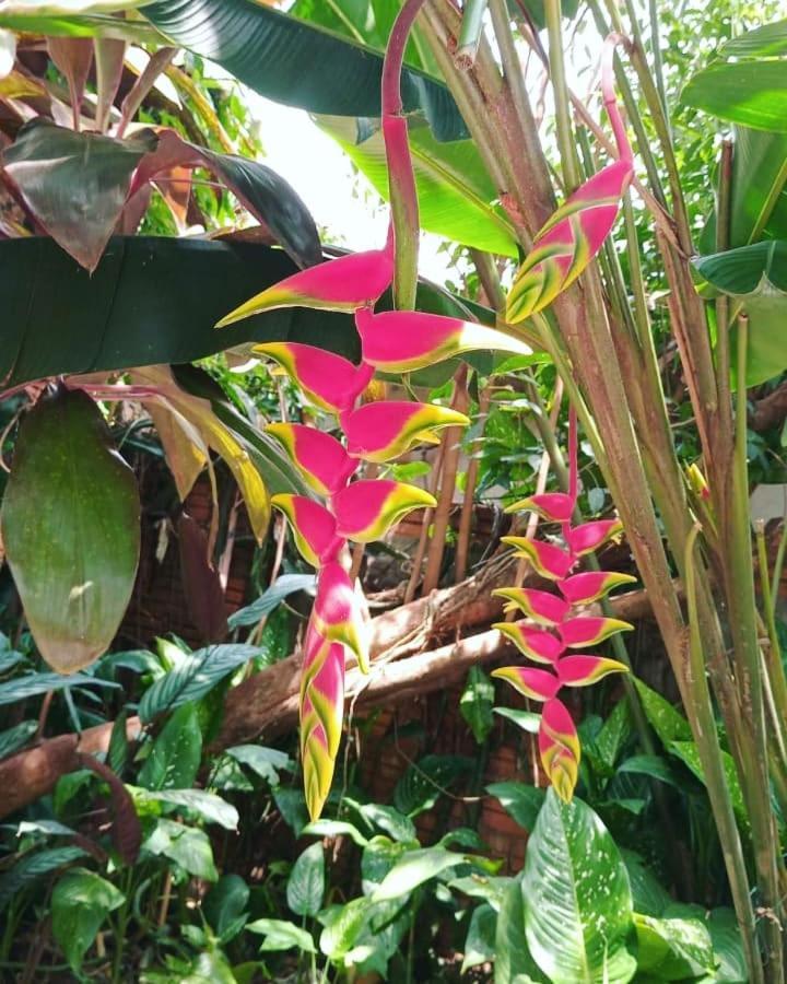 Posada Maria Iguazu 伊瓜苏港 外观 照片