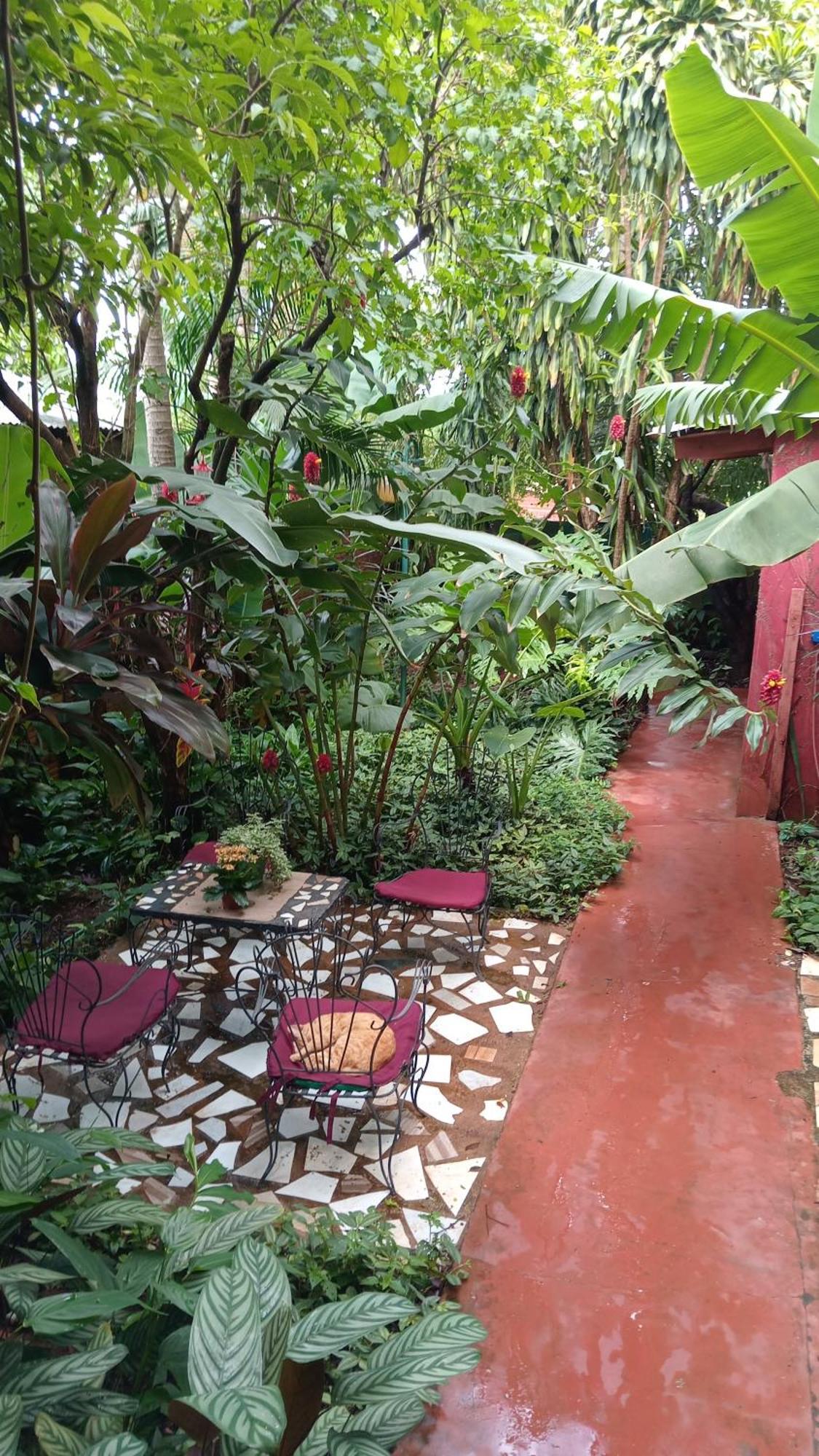 Posada Maria Iguazu 伊瓜苏港 外观 照片