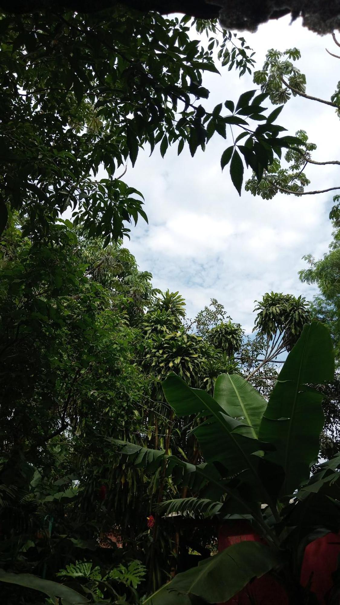 Posada Maria Iguazu 伊瓜苏港 外观 照片