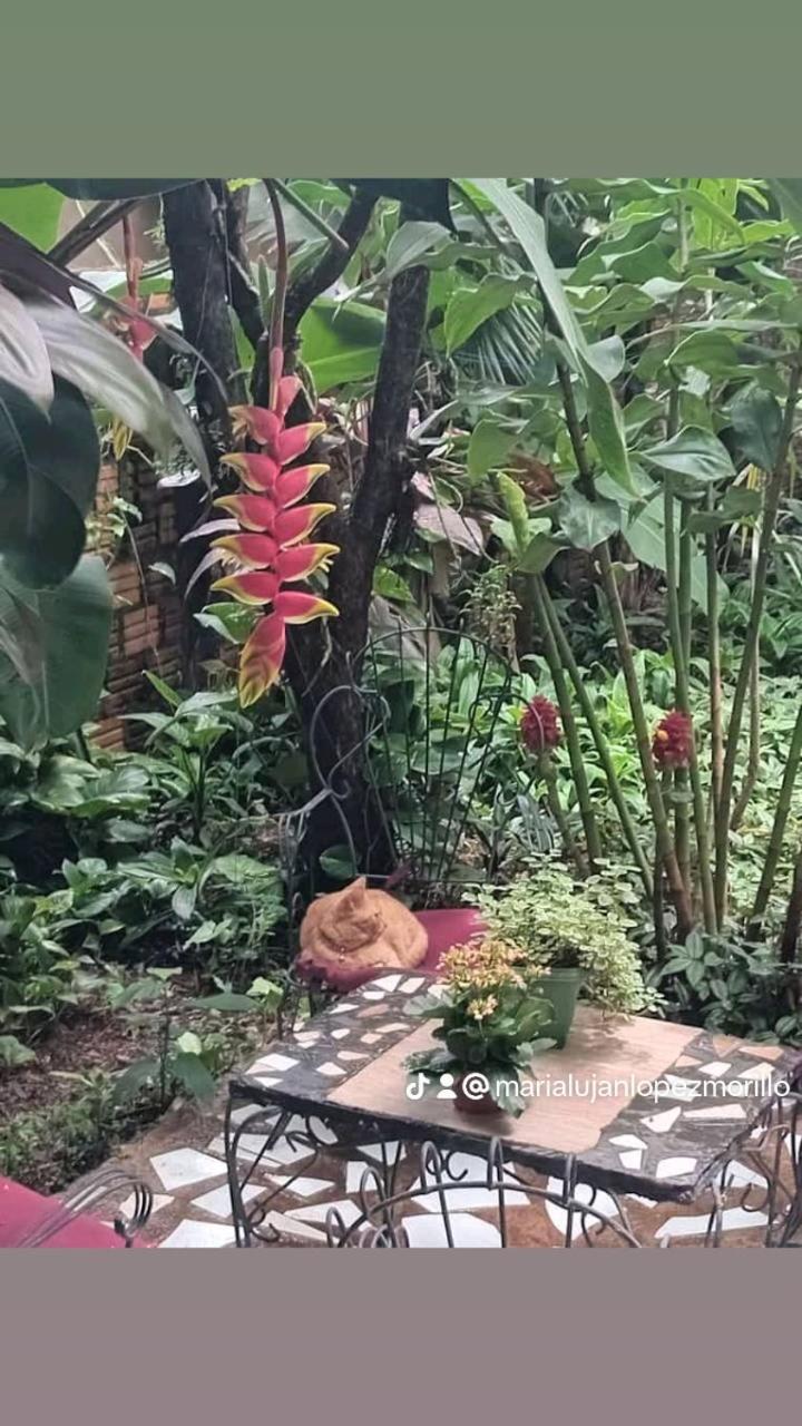 Posada Maria Iguazu 伊瓜苏港 外观 照片
