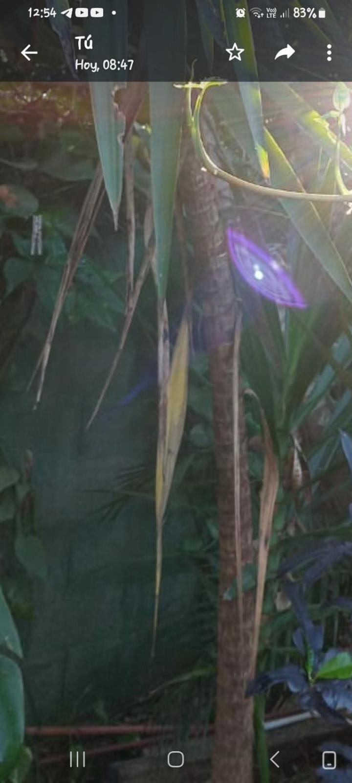 Posada Maria Iguazu 伊瓜苏港 外观 照片