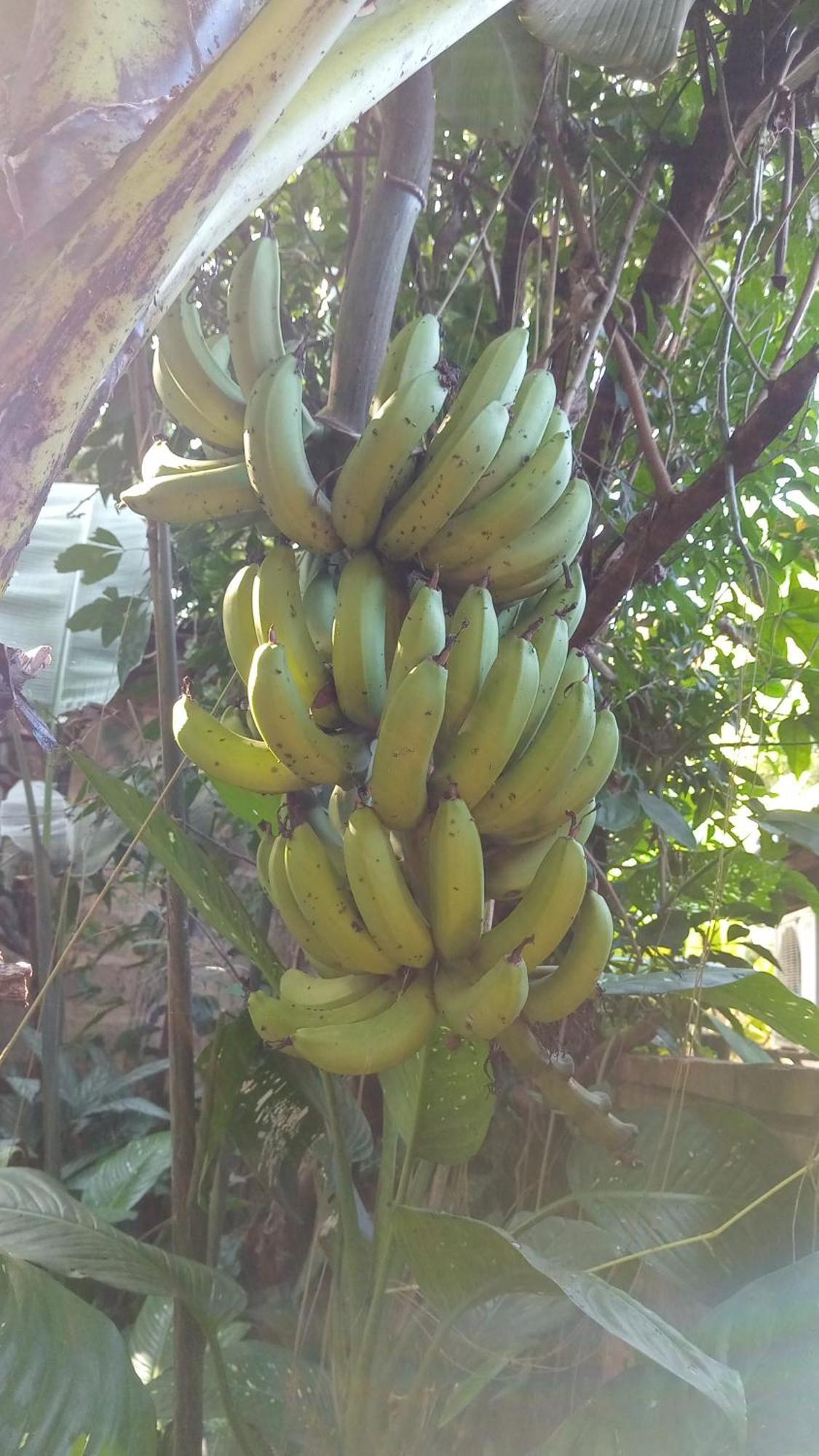 Posada Maria Iguazu 伊瓜苏港 外观 照片