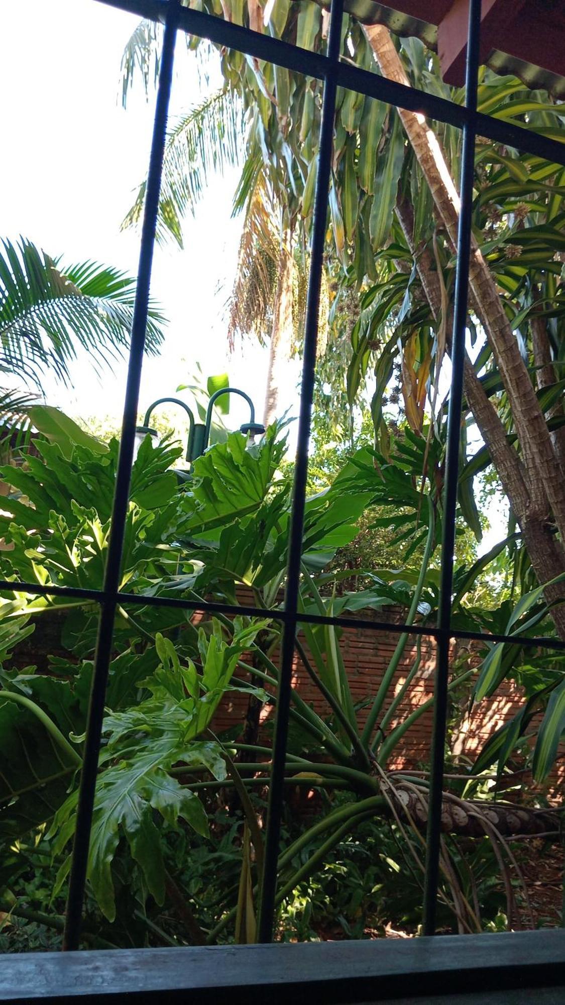 Posada Maria Iguazu 伊瓜苏港 外观 照片