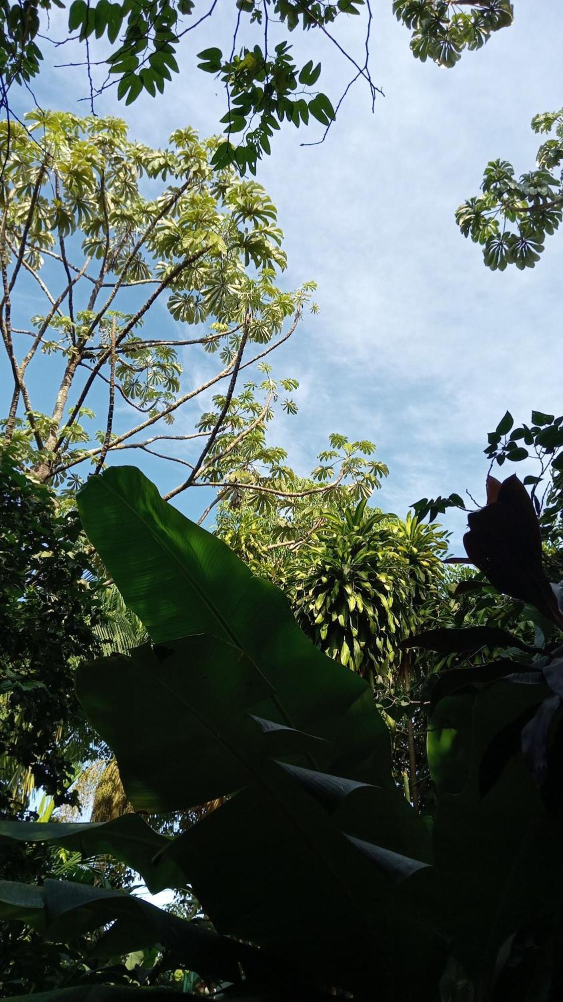 Posada Maria Iguazu 伊瓜苏港 外观 照片