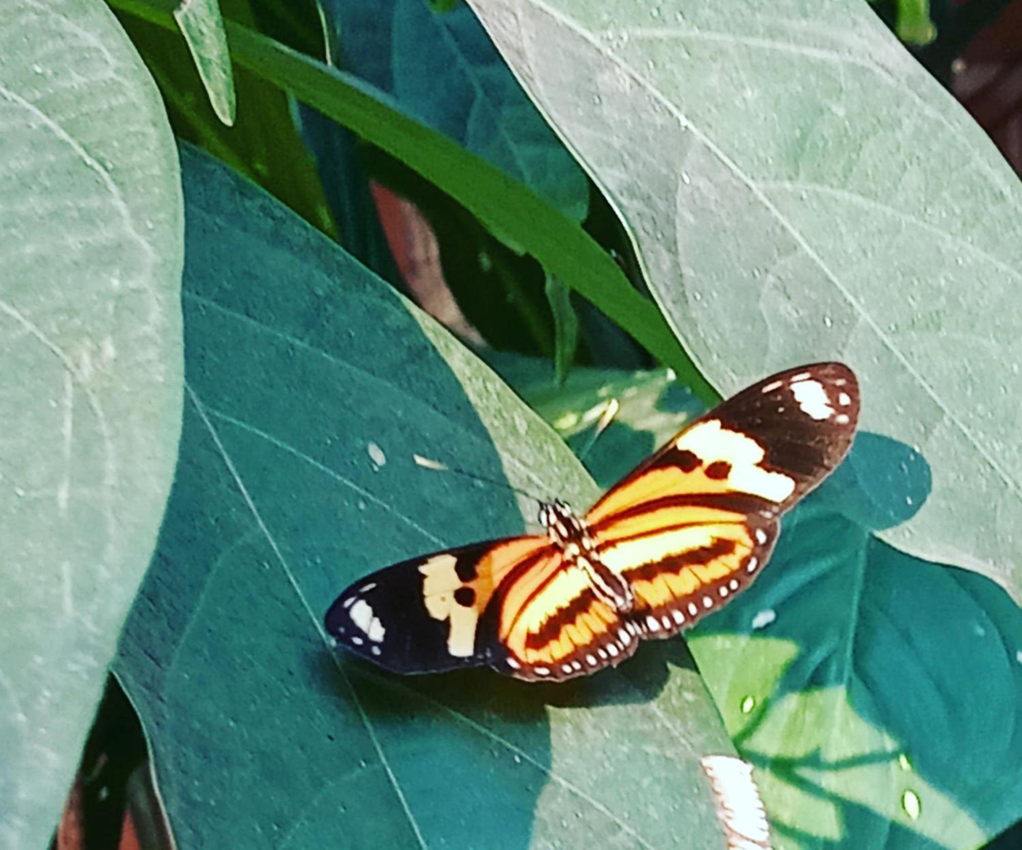 Posada Maria Iguazu 伊瓜苏港 外观 照片