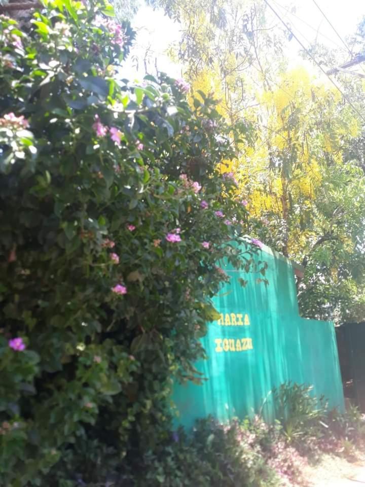 Posada Maria Iguazu 伊瓜苏港 外观 照片