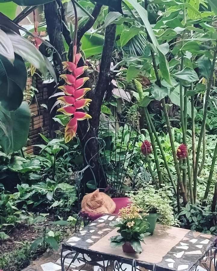 Posada Maria Iguazu 伊瓜苏港 外观 照片