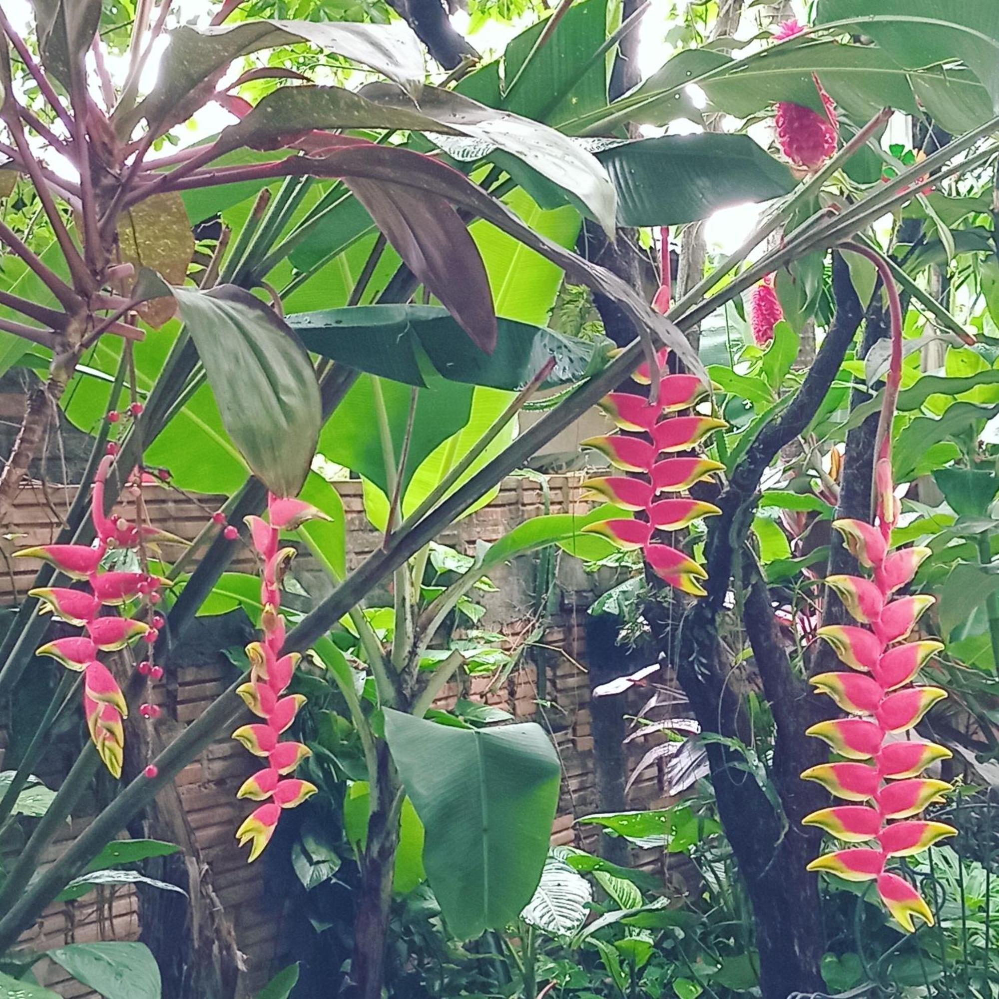 Posada Maria Iguazu 伊瓜苏港 外观 照片