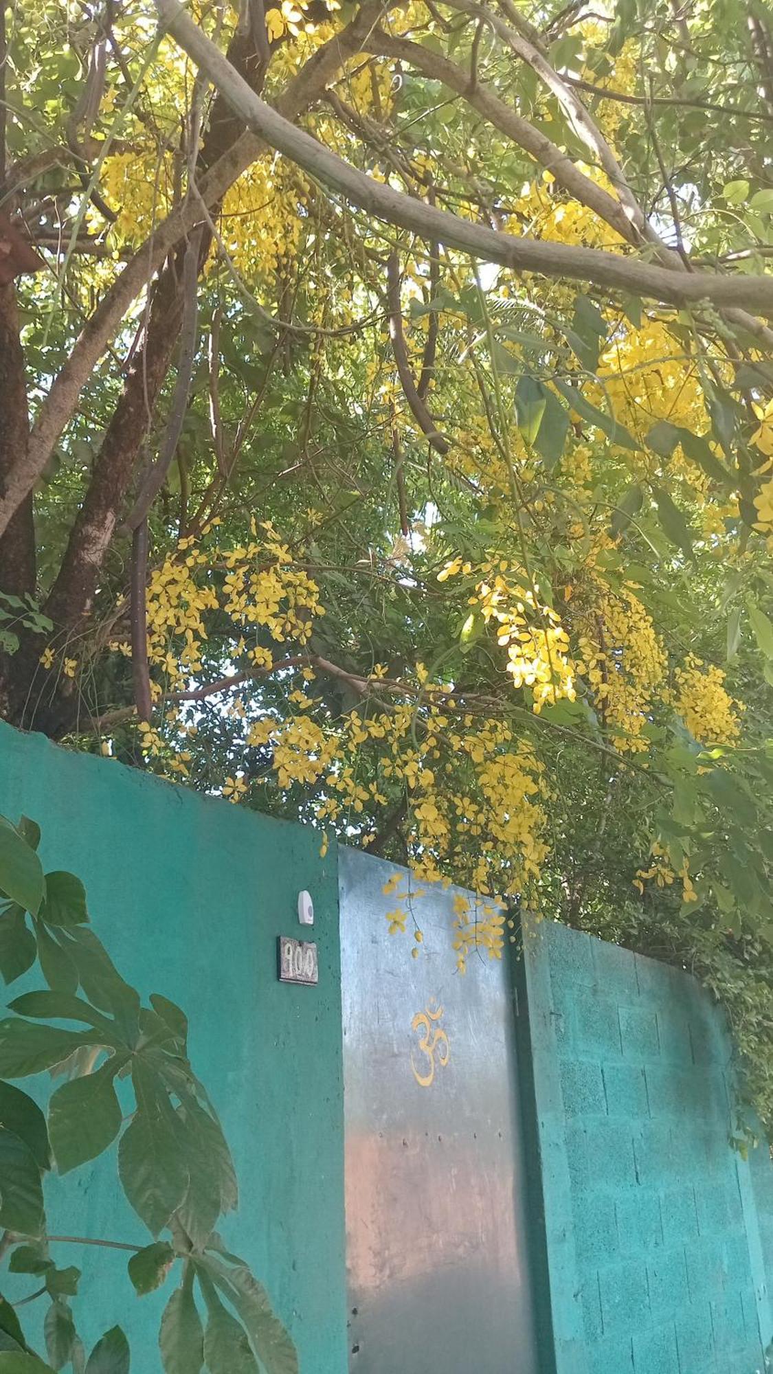 Posada Maria Iguazu 伊瓜苏港 外观 照片