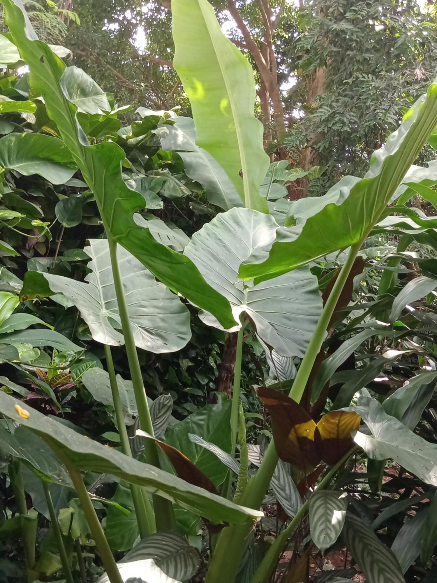 Posada Maria Iguazu 伊瓜苏港 外观 照片