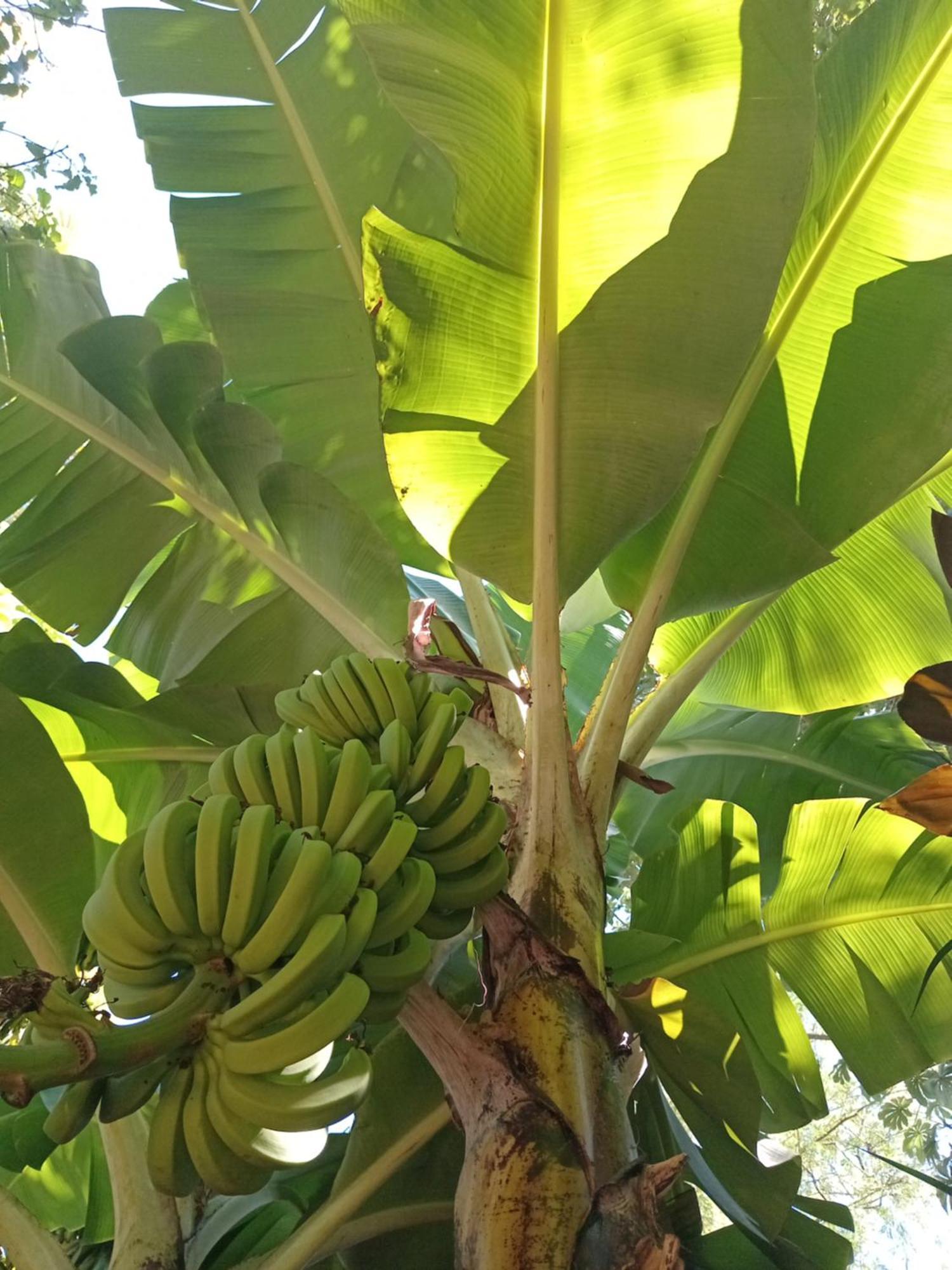 Posada Maria Iguazu 伊瓜苏港 外观 照片