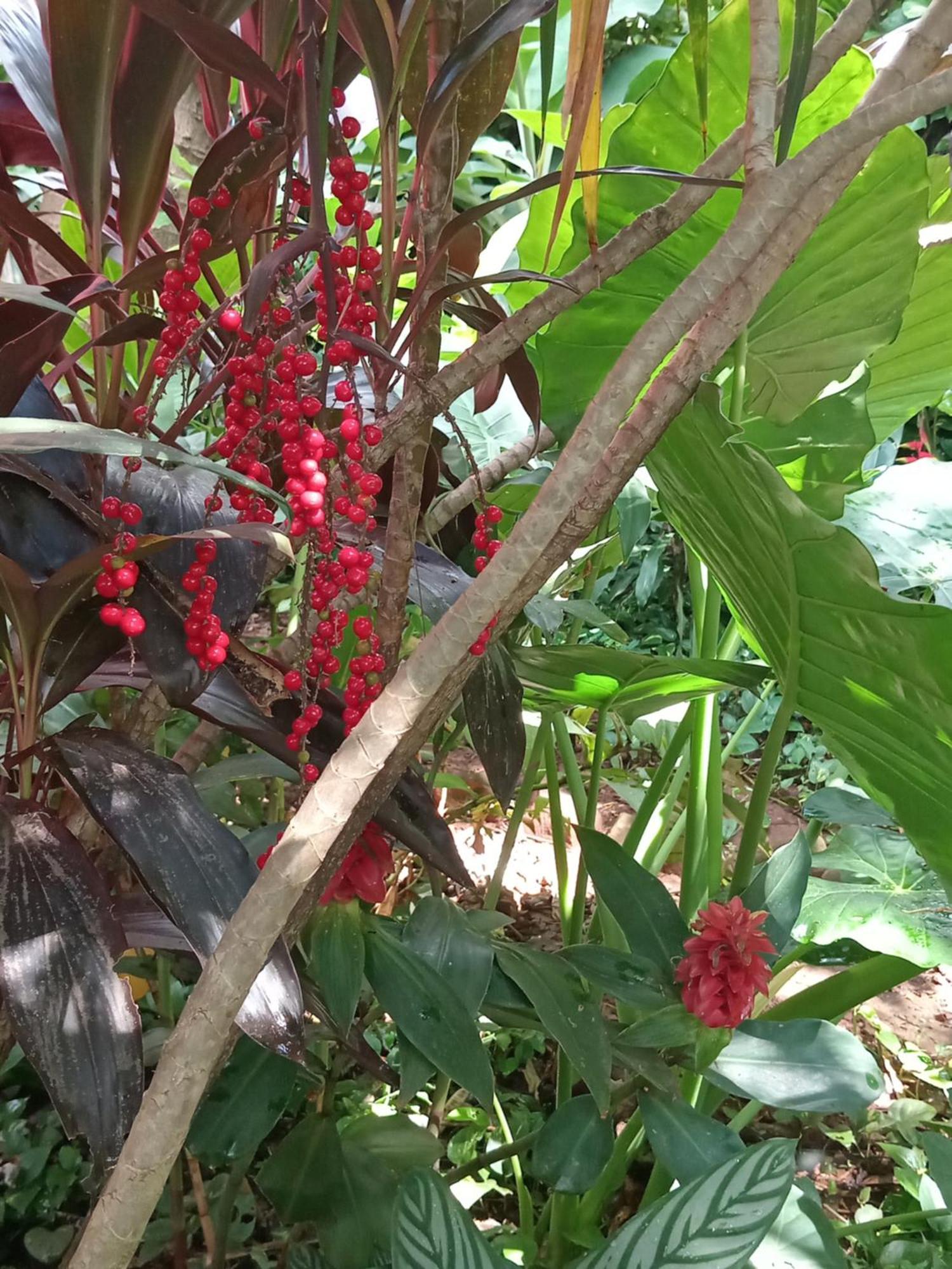 Posada Maria Iguazu 伊瓜苏港 外观 照片