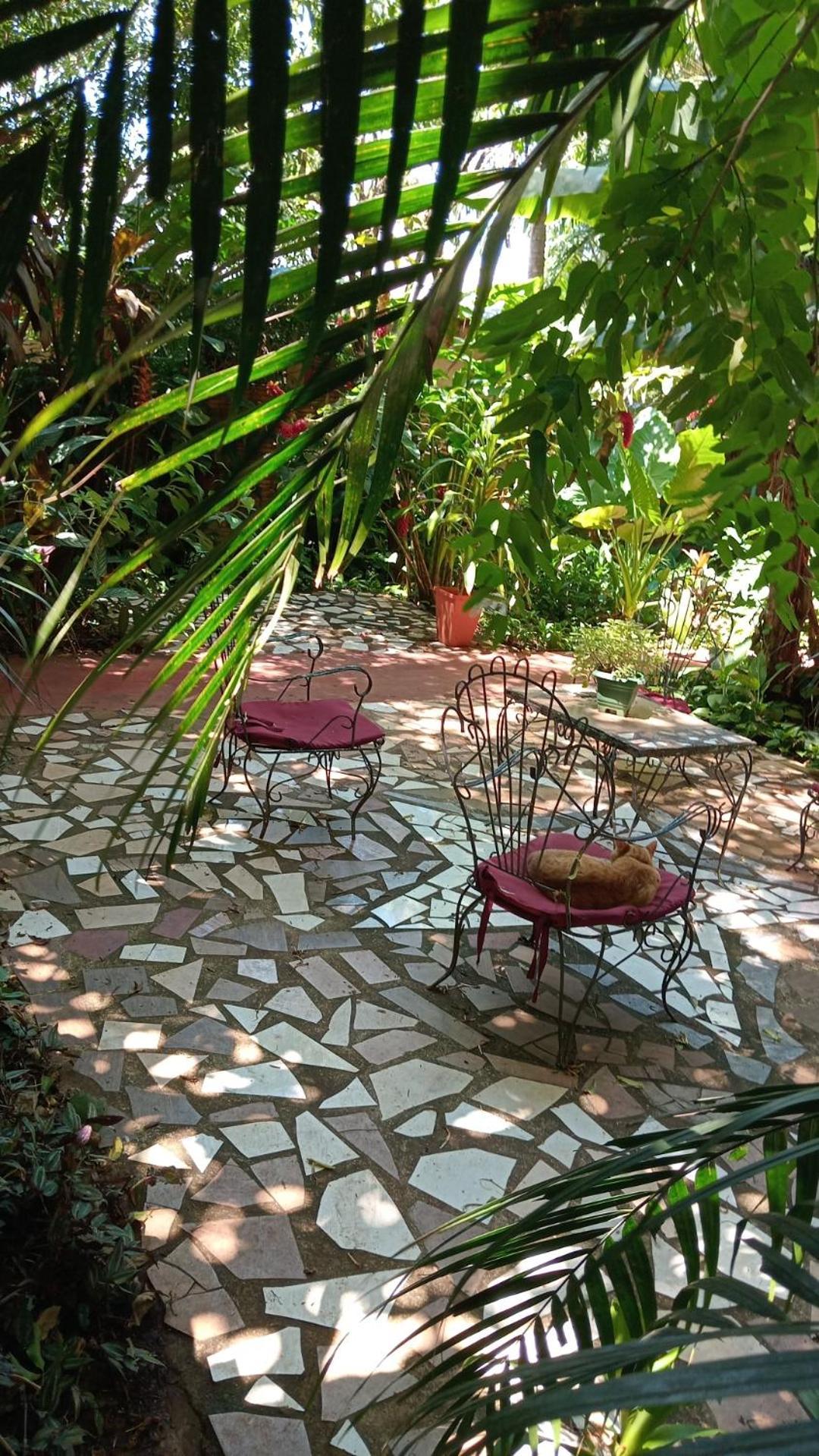 Posada Maria Iguazu 伊瓜苏港 外观 照片